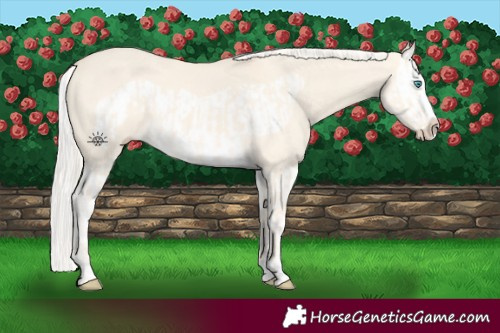 Horse Color:Cremello Dun Splash  and Cremello Dun Splash Frame 