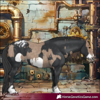 Horse Color:Classic Champagne Varnish  and Black Frame Varnish 
