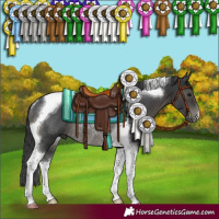 Horse Color:Black Tobiano Rabicano