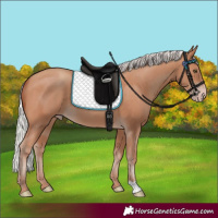 Horse Color:Silver Sable Champagne