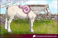 Horse Color:Cremello Splash  and Cremello Splash 