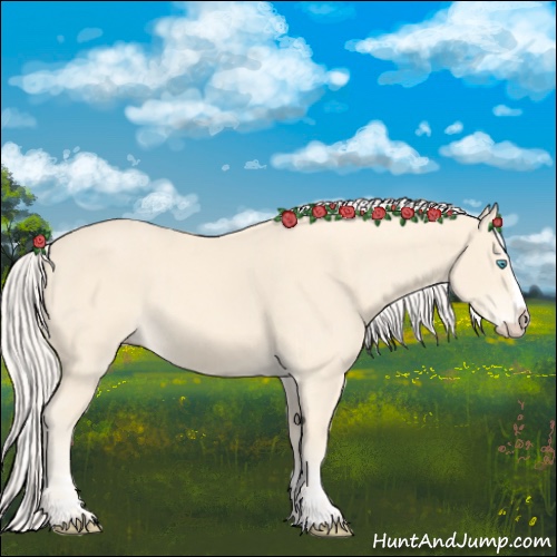 Horse Color:Cremello Splash and Cremello Splash