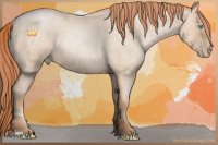 Horse Color:Sable Champagne Roan Pearl 