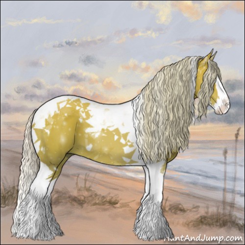Horse Color:Silver Bay Dun Splash Tobiano