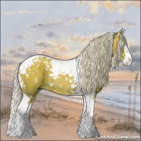 Horse Color:Silver Bay Dun Splash Tobiano