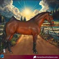 Horse Color:Brown 