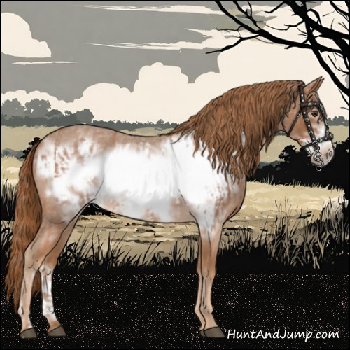 Horse Color:Red Roan Frame  and Red Roan Frame 