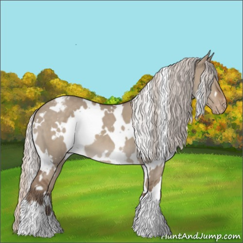 Horse Color:White Spotted Silver Grullo Appaloosa