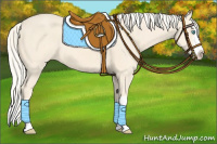 Horse Color:Cremello Splash  and Cremello Splash Rabicano 