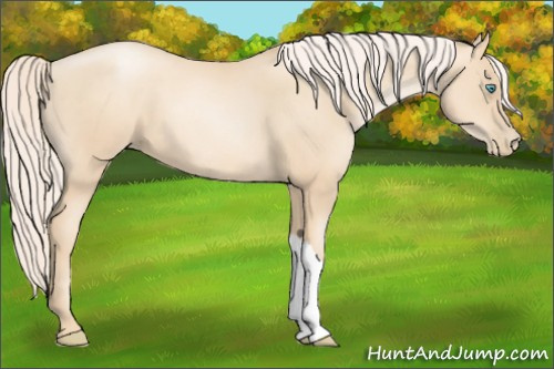 Horse Color:Gold Cream Champagne Pearl