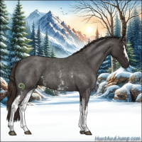 Horse Color:White Spotted Liver Red Roan