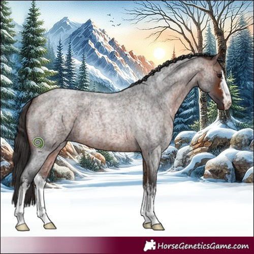 Horse Color:White Spotted Bay Roan 