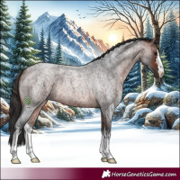 Horse Color:White Spotted Bay Roan