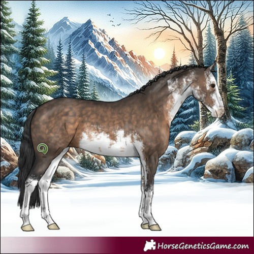 Horse Color:White Spotted Brown Dun 