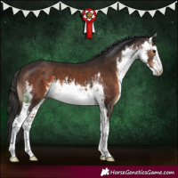 Horse Color:White Spotted Brown 