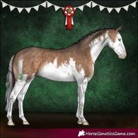 Horse Color:White Spotted Brown Dun Splash 