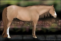 Horse Color:Bay Pearl 