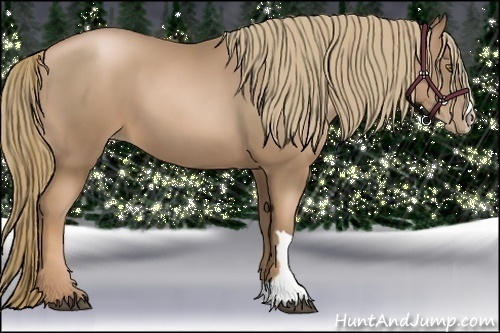 Horse Color:Liver Chestnut Pearl 