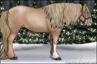 Horse Color:Liver Chestnut Pearl