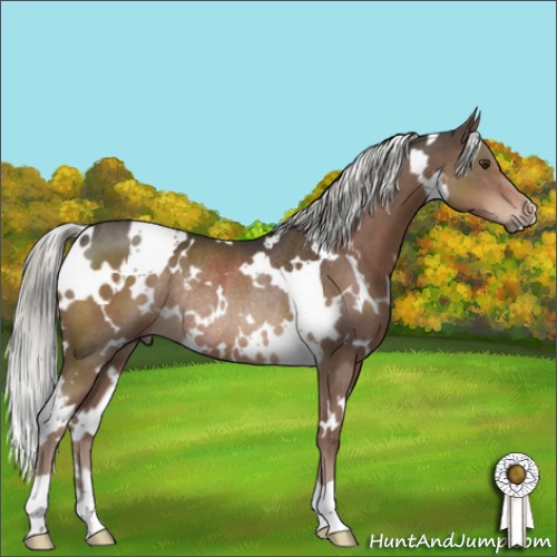 Horse Color:White Spotted Liver Chestnut Mushroom Rabicano 