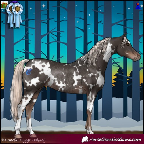 Horse Color:White Spotted Liver Chestnut Mushroom Rabicano 