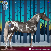 Horse Color:White Spotted Liver Chestnut Mushroom Rabicano