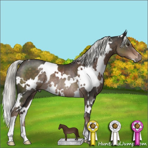 Horse Color:White Spotted Liver Chestnut Mushroom Rabicano 