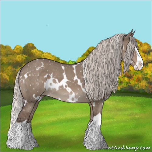 Horse Color:White Spotted Silver Grullo Splash Appaloosa 