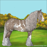 Horse Color:White Spotted Silver Grullo Splash Snowflake Varnish 