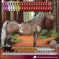 Horse Color:White Spotted Liver Red Dun Mushroom 