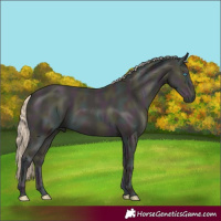 Horse Color:Midnight Smoky Creme 