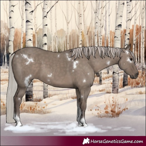 Horse Color:White Spotted Silver Grullo Tobiano 