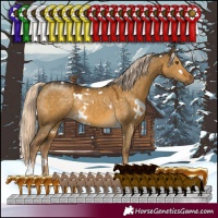 Horse Color:White Spotted Chocolate Palomino Dun Mushroom Sabino Rabicano