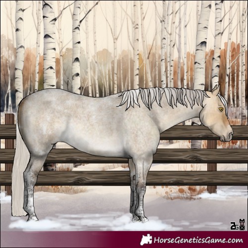 Horse Color:Silver Buckskin Roan Dun Tobiano 