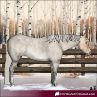 Horse Color:Silver Buckskin Roan Dun Tobiano 