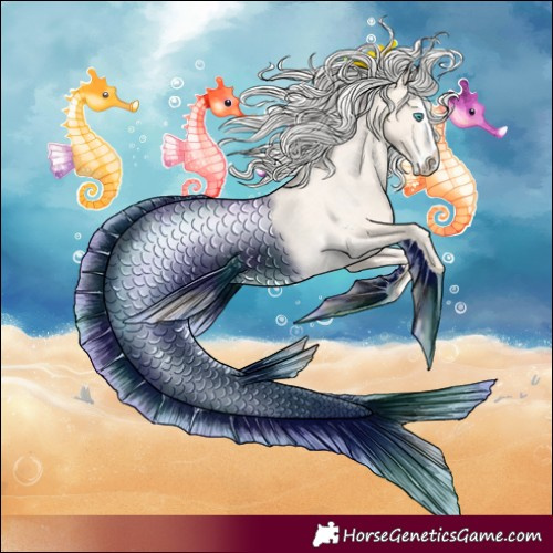 Horse Color:Cremello Splash Appaloosa and Cremello Splash Appaloosa