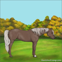 Horse Color:Silver Black 