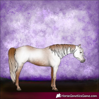 Horse Color:Gray Chestnut 