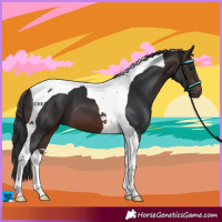 Horse Color:Brown Tobiano 