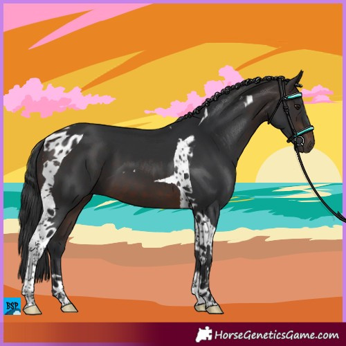 Horse Color:Brown Tobiano 
