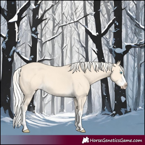 Horse Color:Cremello Splash  and Cremello Splash 