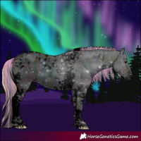 Horse Color:Void Watercolor Plaid  Midnight Bay Ice Onyx Tobiano 