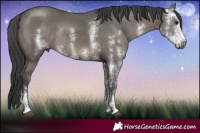 Horse Color:Grullo Sabino Rabicano 