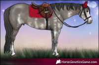 Horse Color:Grullo Sabino Rabicano 