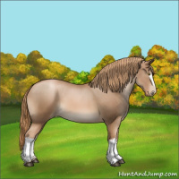 Horse Color:White Spotted Liver Chestnut Pearl 