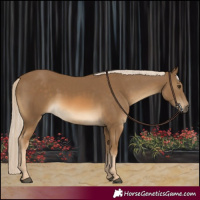 Horse Color:White Spotted Chocolate Palomino 