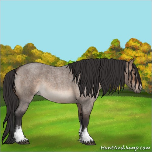Horse Color:White Spotted Brown Roan Dun