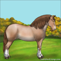 Horse Color:White Spotted Brown Roan Pearl 