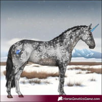 Horse Color:White Spotted Black Ice 