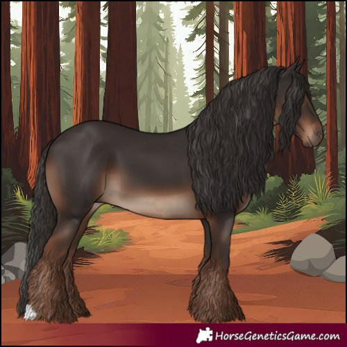 Horse Color:Liver Chestnut
